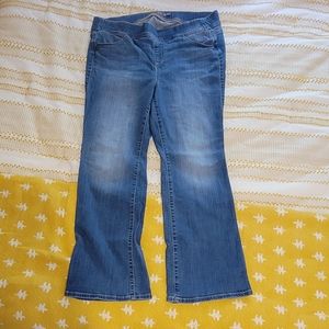 Torrid 18S boot cut / lean jean / jeggings / pull on style